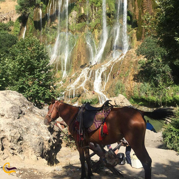 اسب سواری در طبیعت زیبای آبشار بیشه