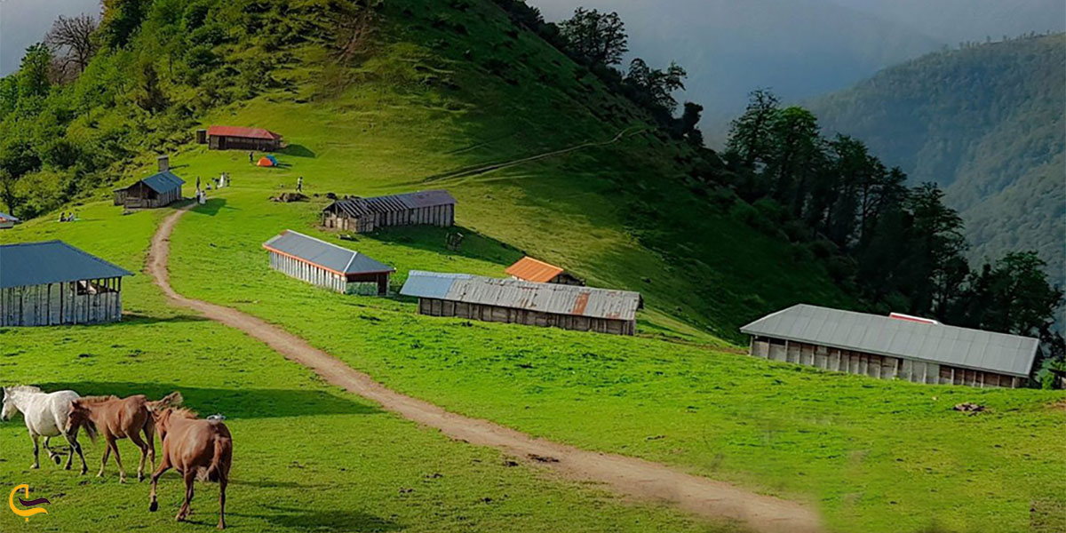نمایی از اسبسواری در طبیعت اولسبلنگاه