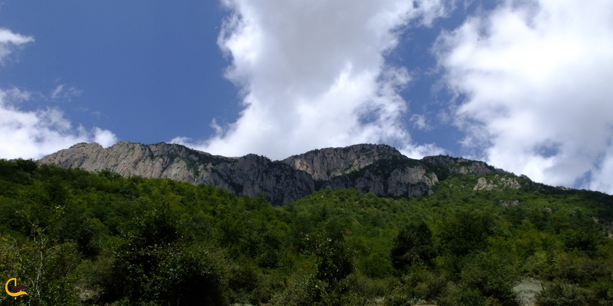 نمایی از جنگل ارفع ده
