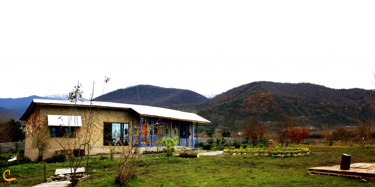 تصویری از طبیعت سرسبز جنگل خشکه داران تنکابن