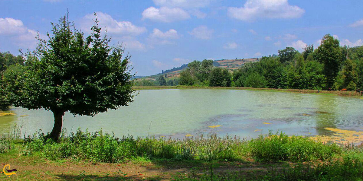 تصویری از طبیعت کوهسار کنده