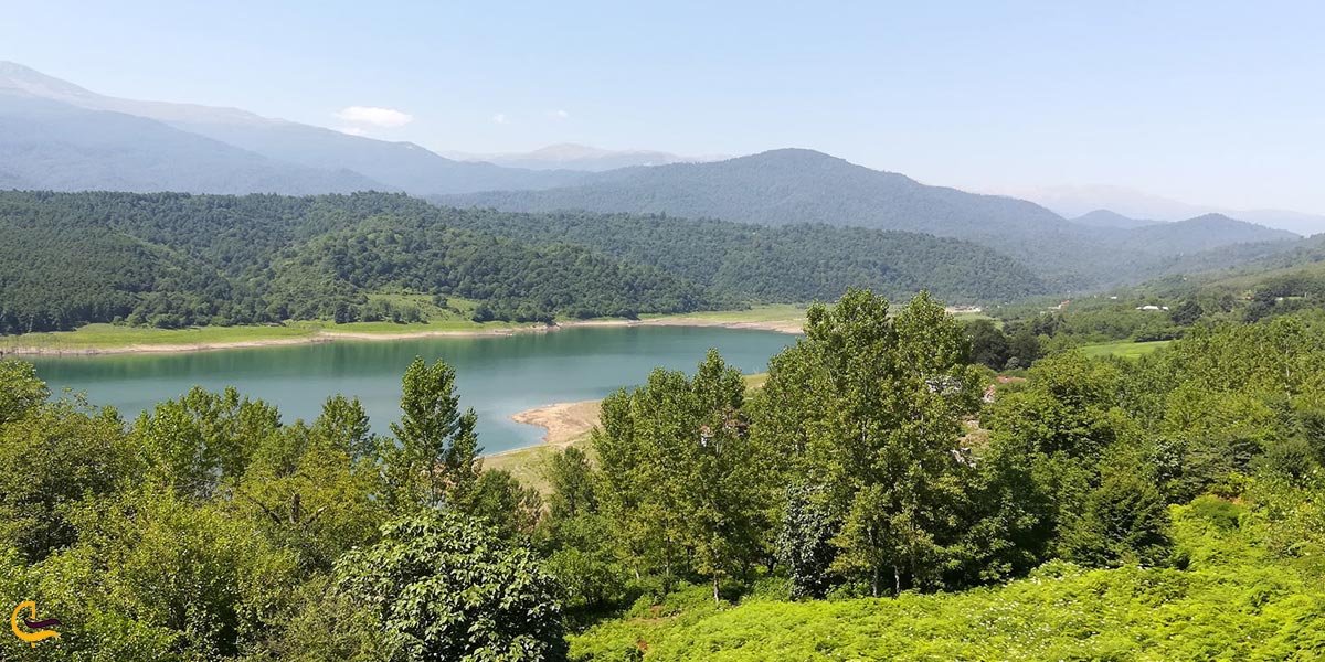 تصویری از طبیعت سرسبز جنگل لفور