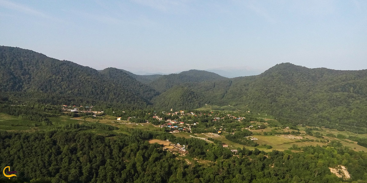 تصویری از جنگل لاجیم