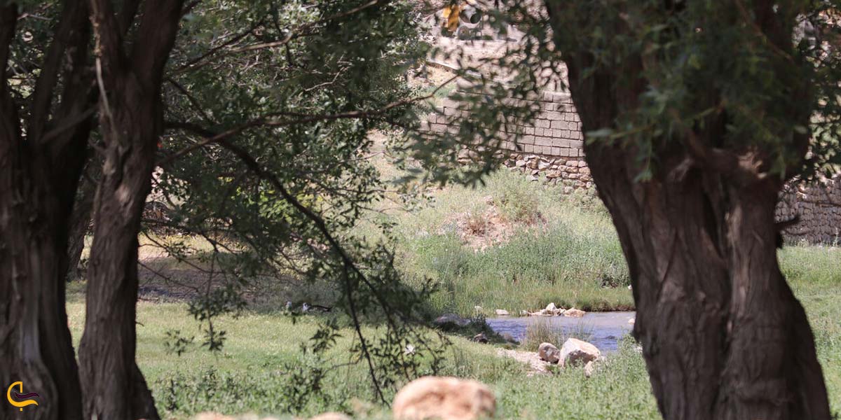 تصویری از طبیعت سرسبز روستای خسرو و شیرین آباده