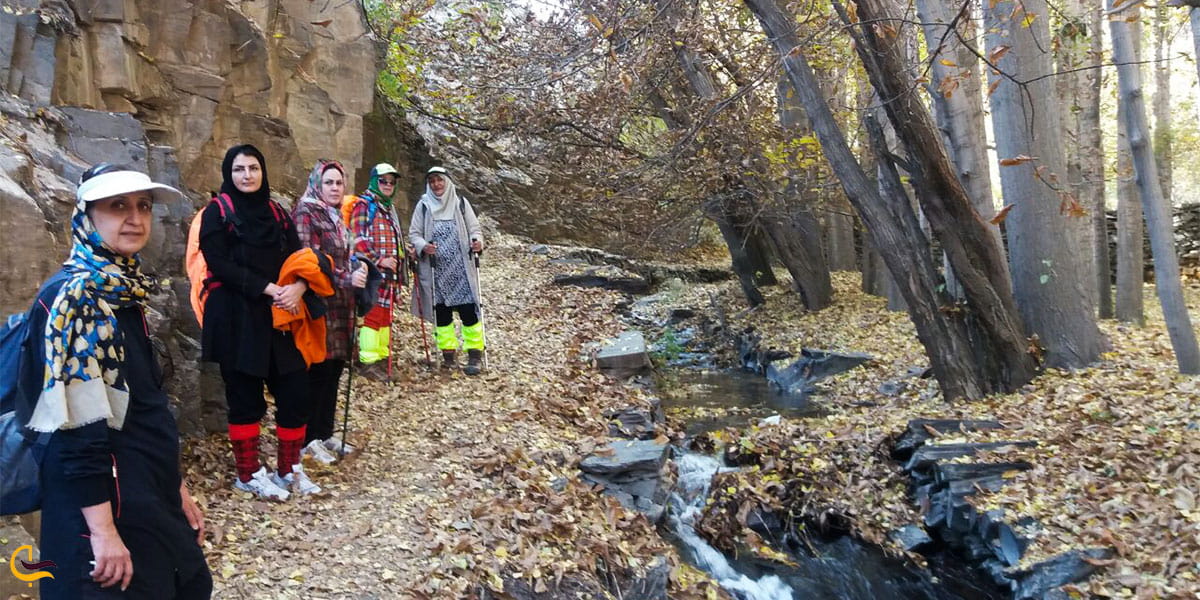 نمایی از طبیعتگردی کنگ