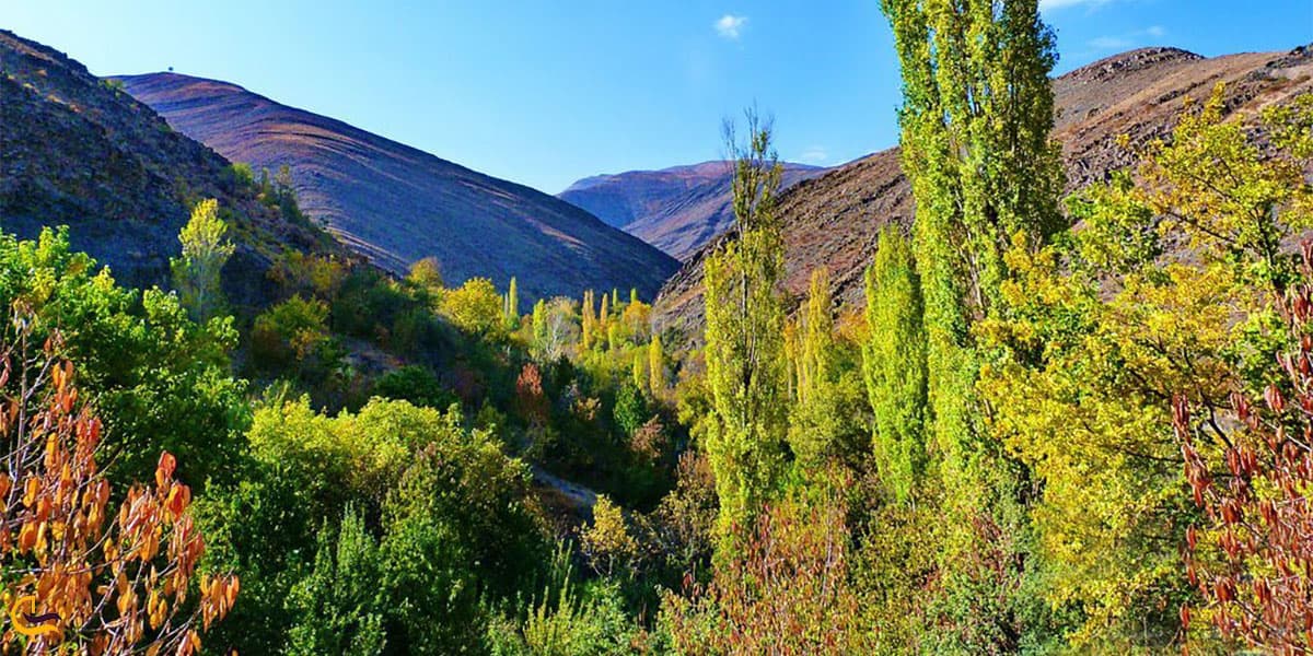 نمایی از فصل تابستان کنگ