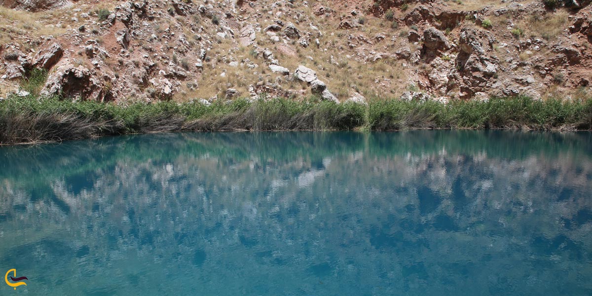 تصویری از آب درایچه دقلو سیاه گاو