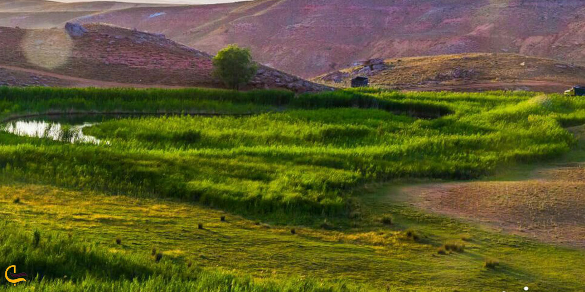 تصویری از طبیعت سرسبز تکاب