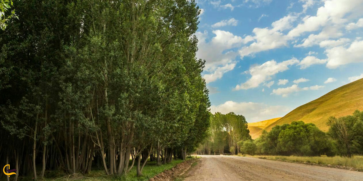 تصویری از طبیعت سرسبز تکاب