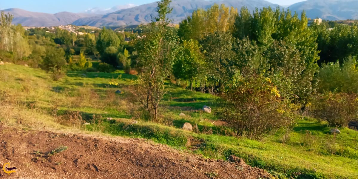 تصویری از طبیعت سرسبز روستای مزرعه خلف
