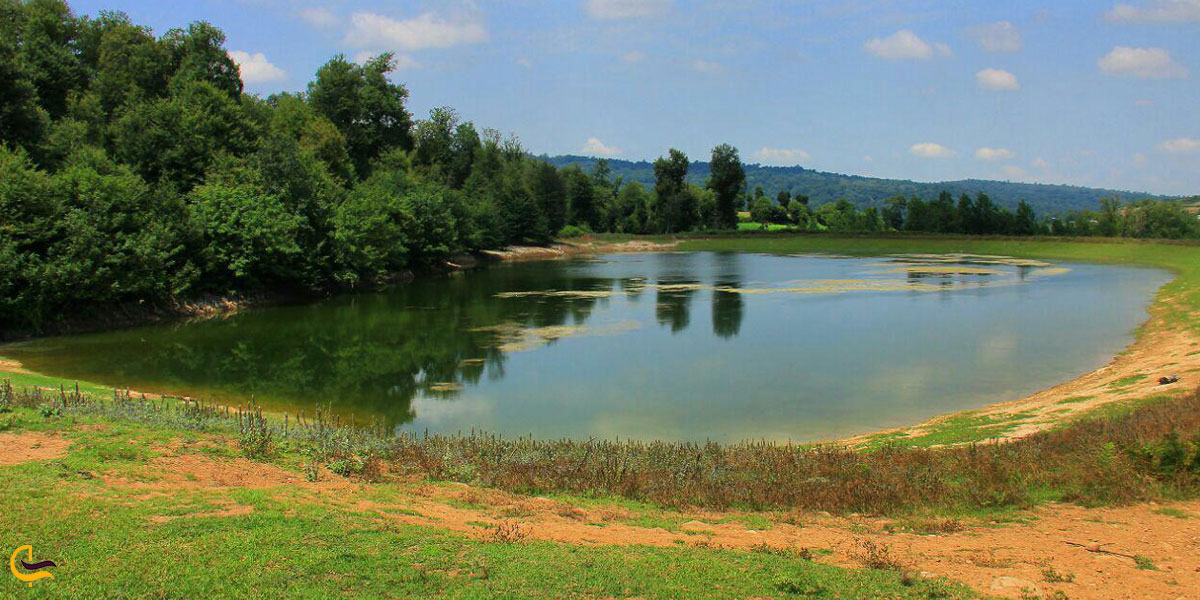 نمایی از جنگل کوهسارکنده