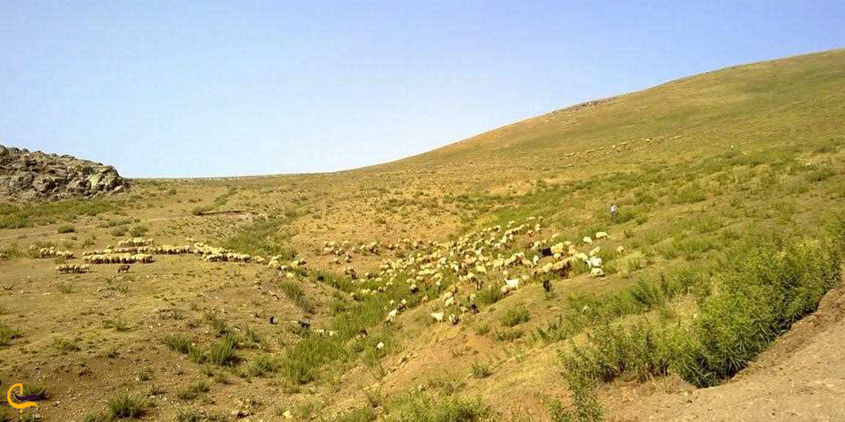 تصویری از طبیعت چشمه آبگرم اوکوزداغی