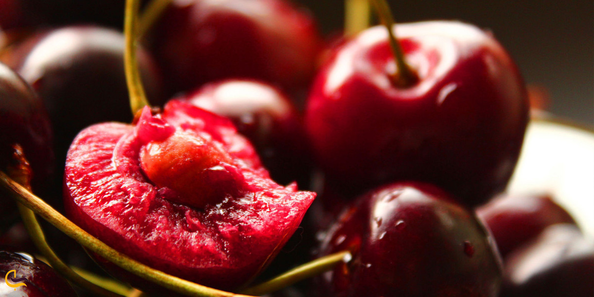 تصویری از گیلاس میوه ارگانیک روستای دولاب