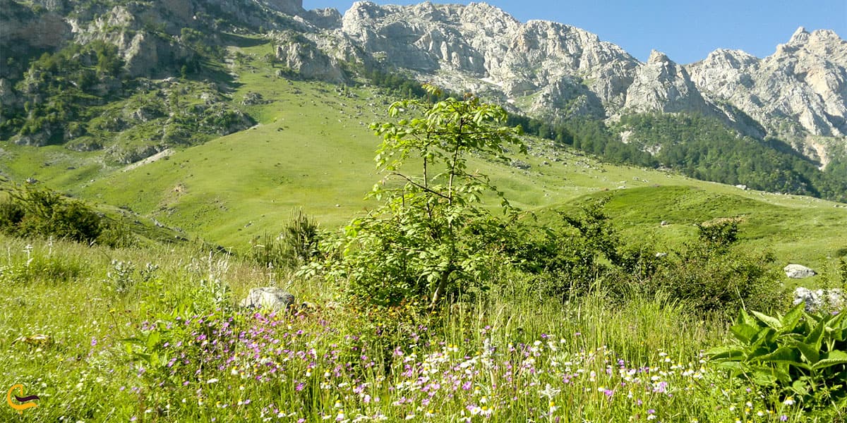 نمایی از مسیر پیمودن به آبشار بولا