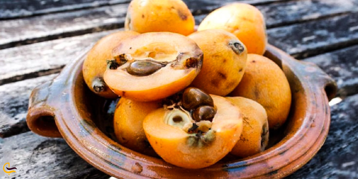 تصویری از گیاه ازگیل در طبیعت آستارا