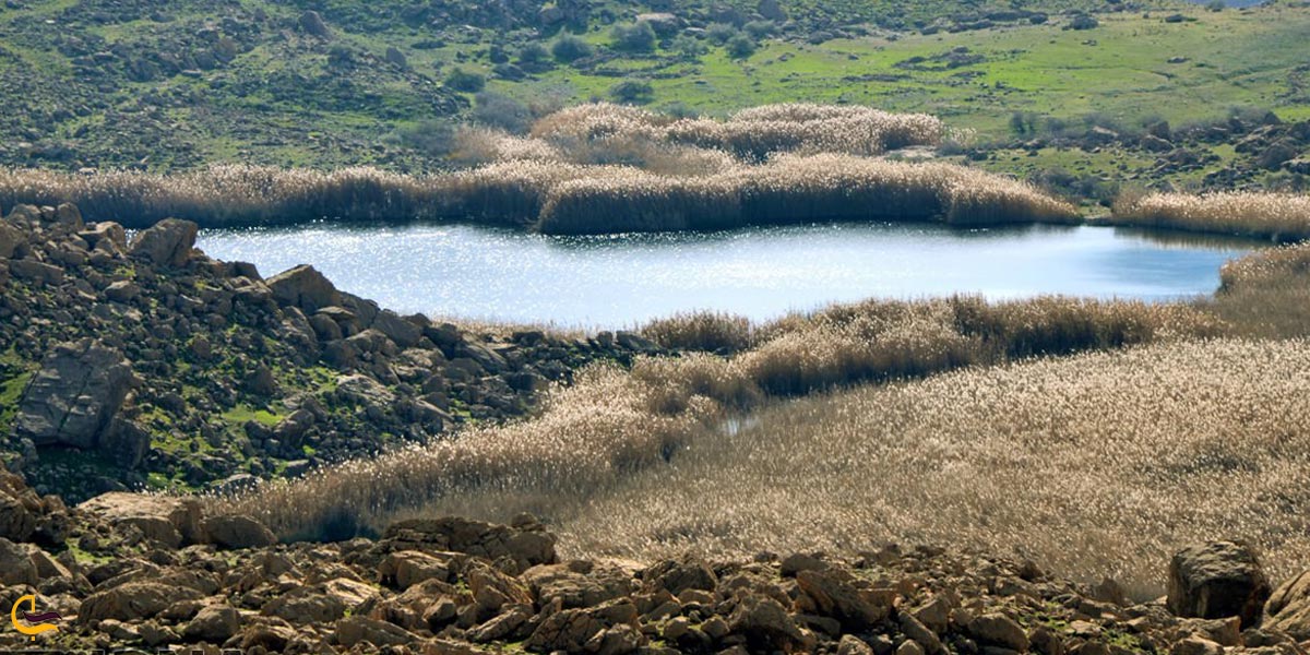 تصویری از تالاب های طبعت پل دختر