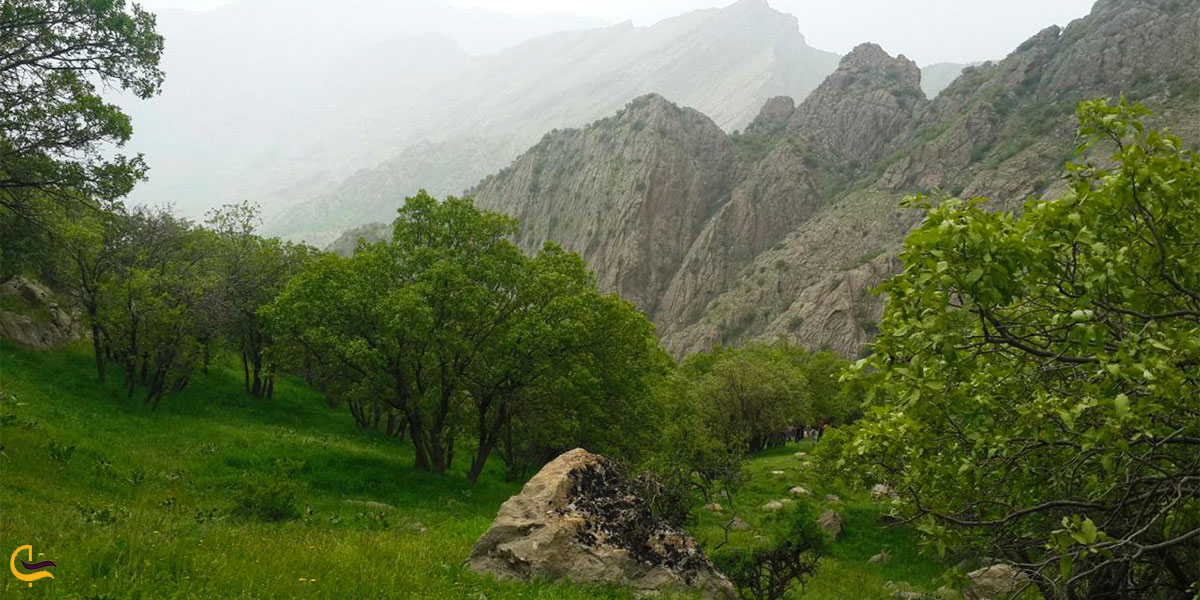نمایی از دره اناران