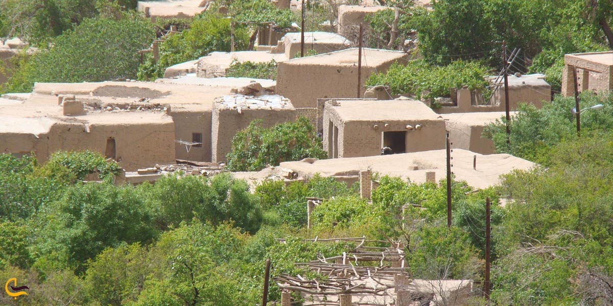 تصویری از طبیعت سرسبز روستای قطرم بافق