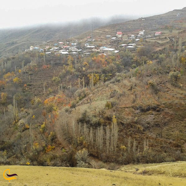 تصویری از طبیعت سرسبز روستای کامان
