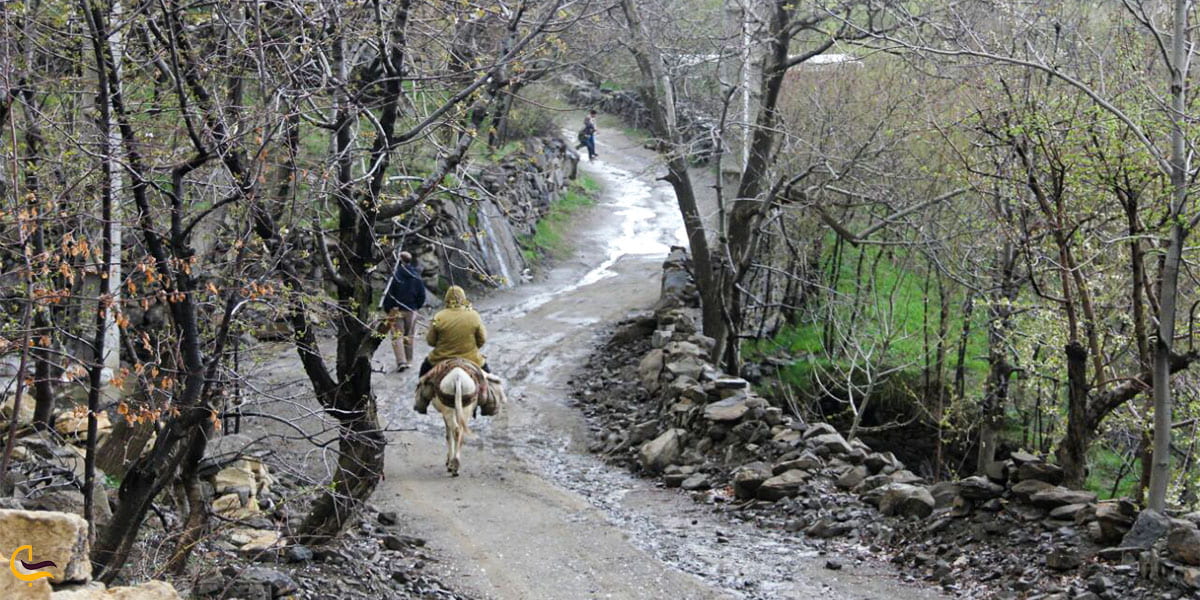 نمایی از مسیر روستایی دره مرادبیگ