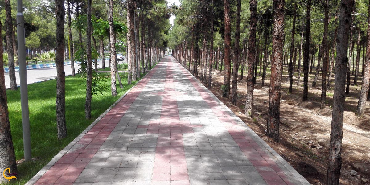 تصویری از پارک جنگلی ساوه