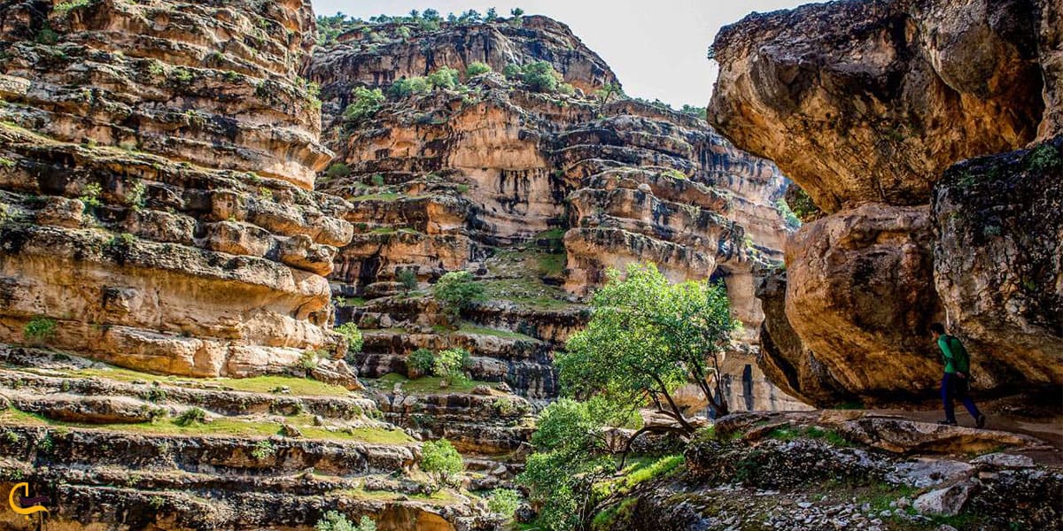نمایی از تنگه شیرز