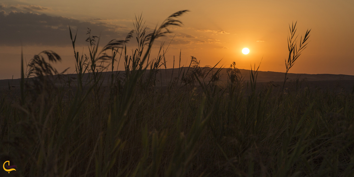 تصویری از کویر سیزگه 