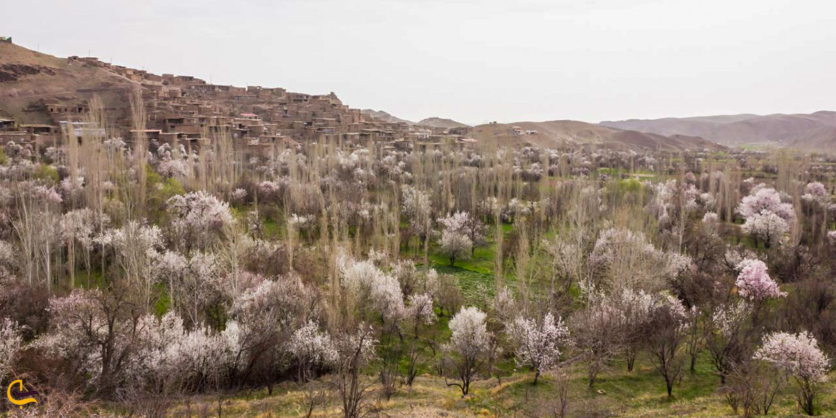 نمایی از فصل بهار روستای نامق