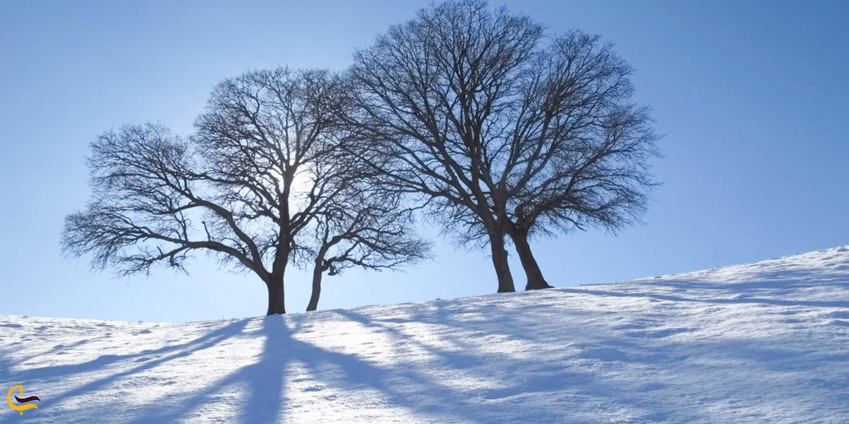 طبیعت زیبای شهر کلات در فصل پاییز و زمستان