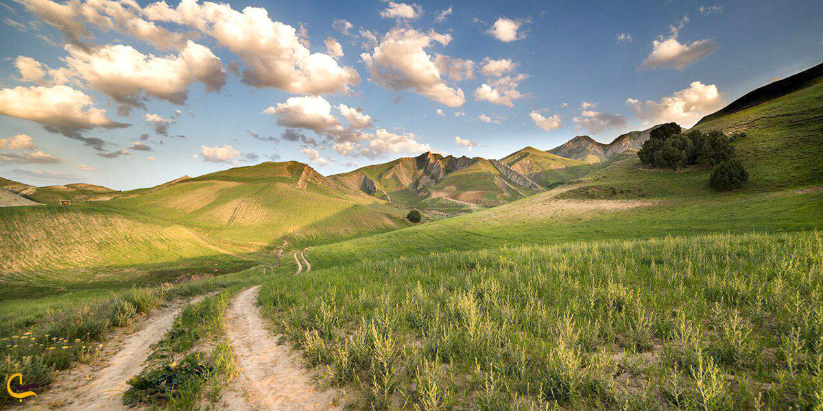 طبیعت زیبای شهر کلات در فصل تابستان و بهار