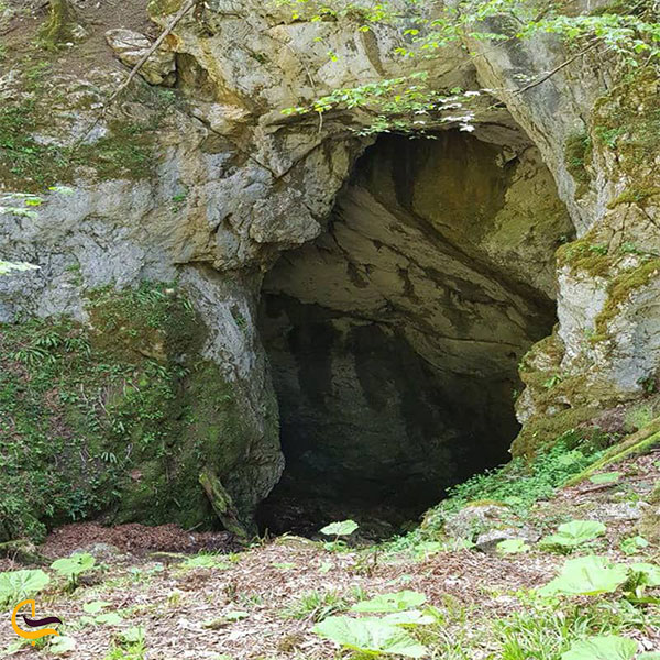 نمایی از ورودی غار آویشو