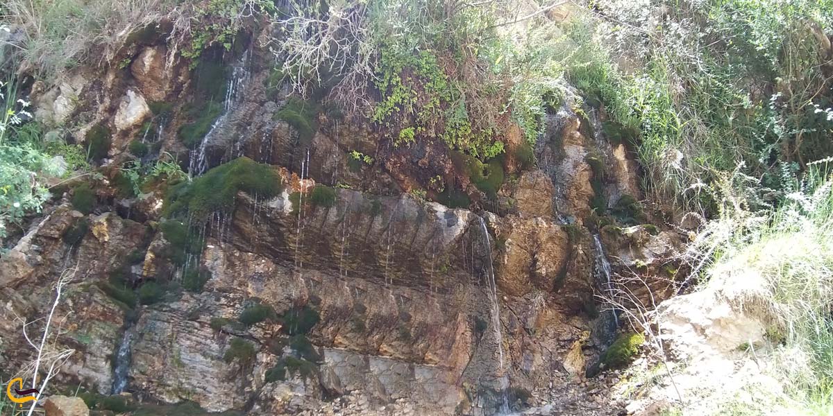 تصویری از طبیعت سرسبز دره تیگران