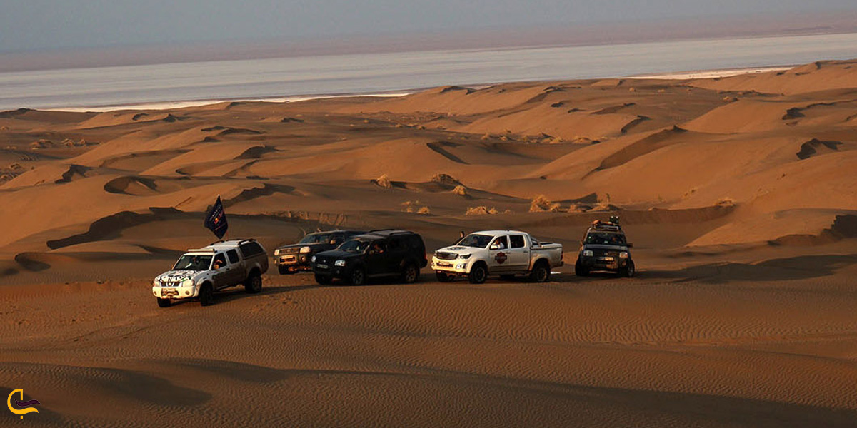 تصویری از سفر به کویر با تور