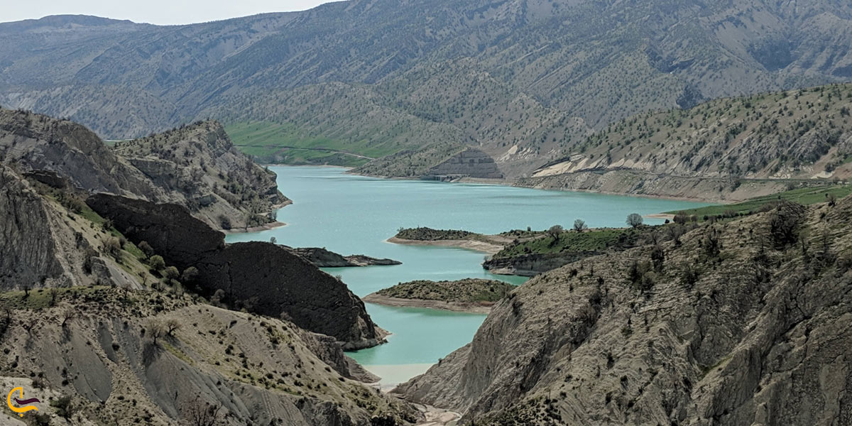 تصویری از پوشش گیاهی اطراف سد ایلام