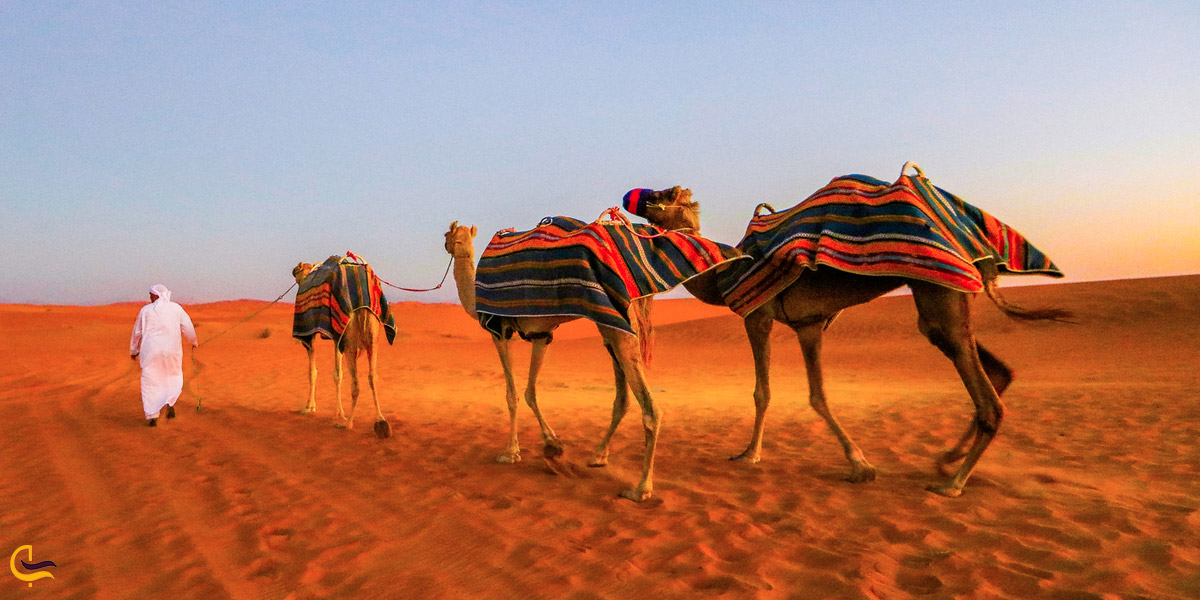 تصویری از کویر ال وادی