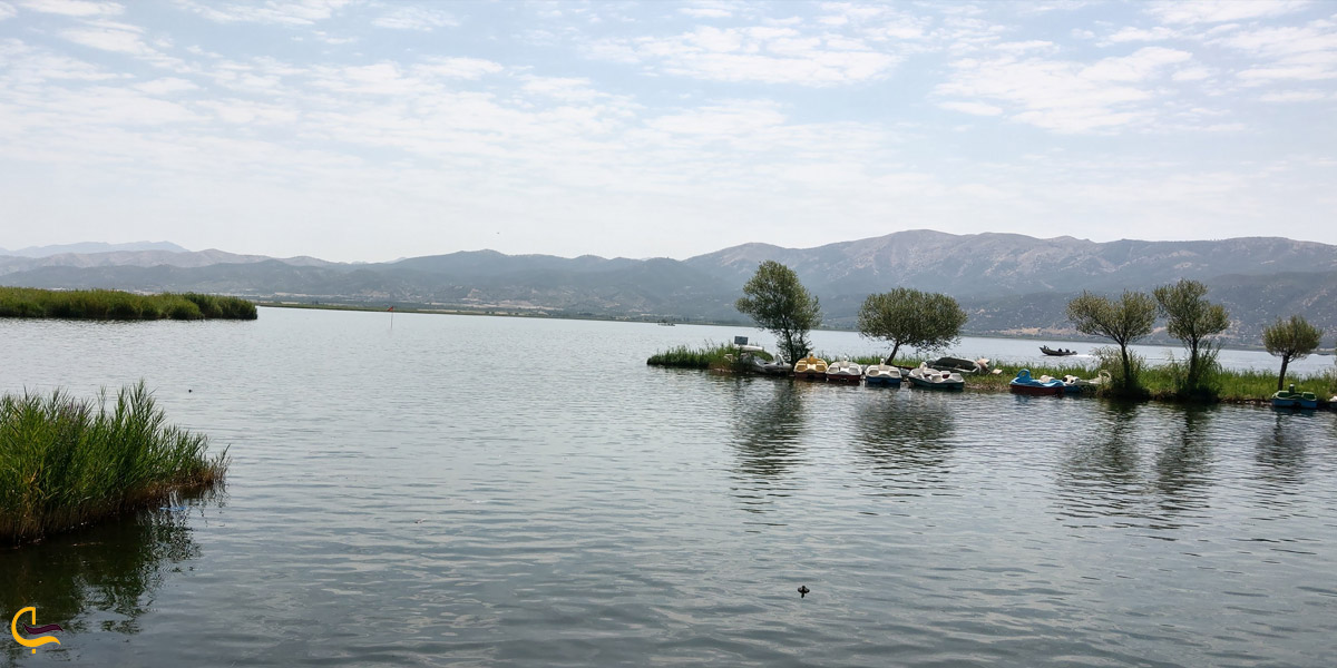 تصویری از قایق های پدالی در دریاچه زریبار سنندج