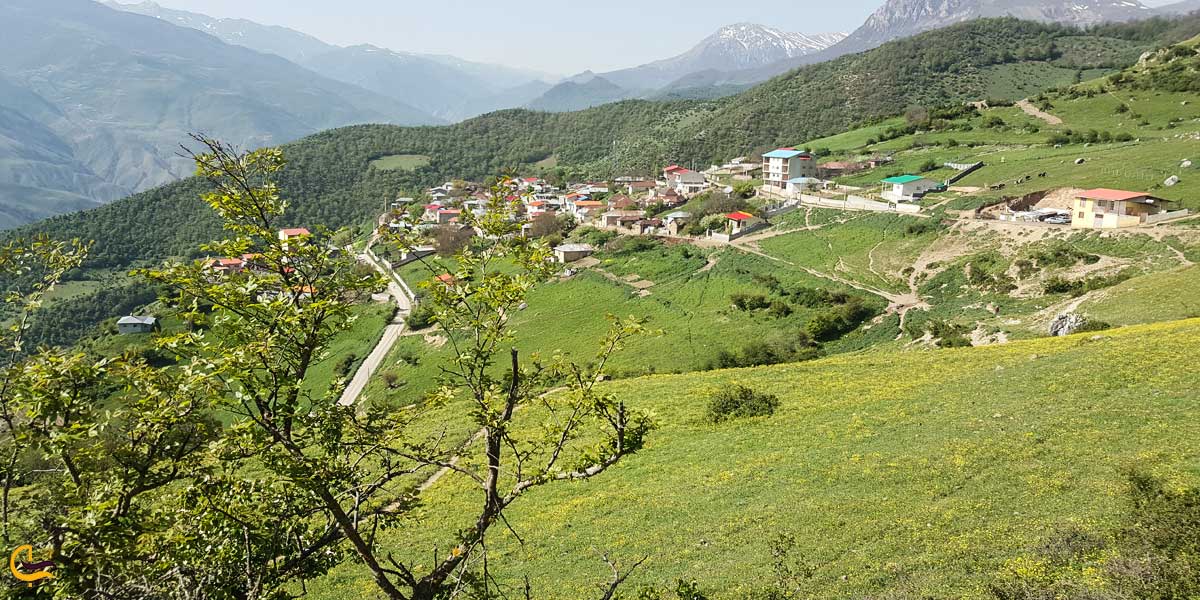 تصویری از طبیعت سرسبز جنگل ارفع ده