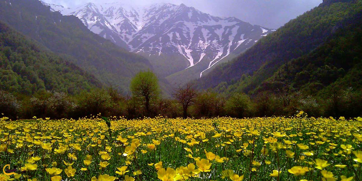 تصویری از دشت دریاسر