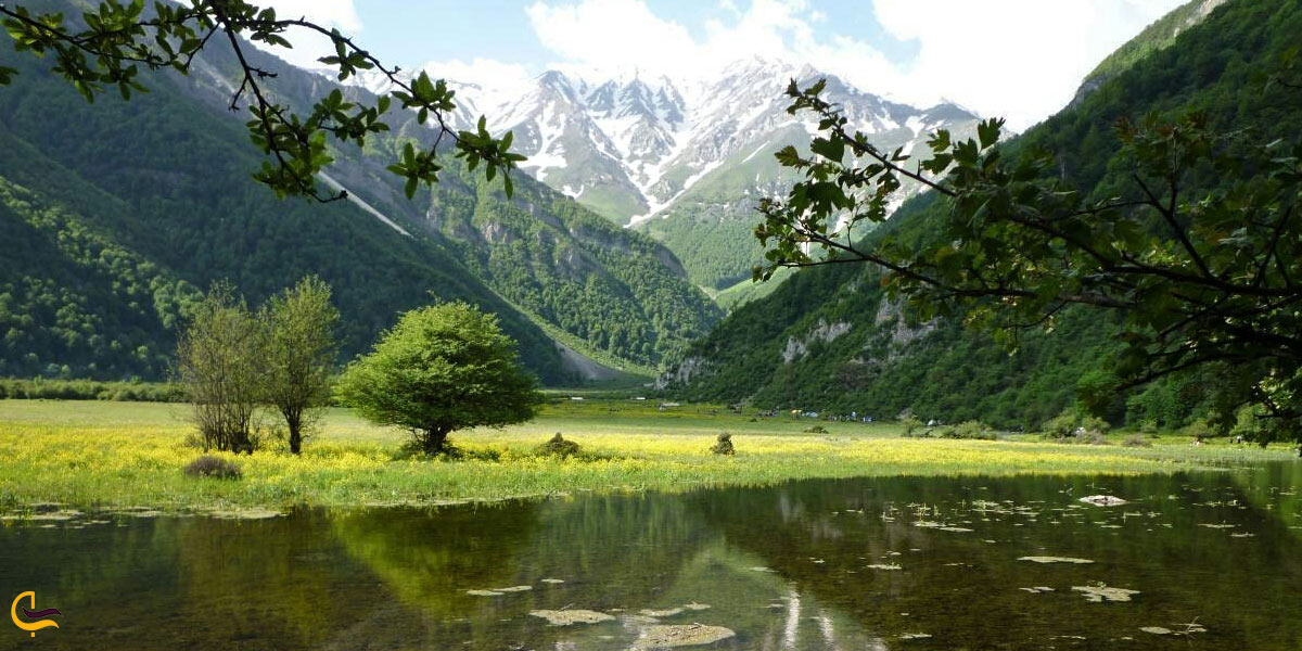 تصویری از طبیعت دو هزار