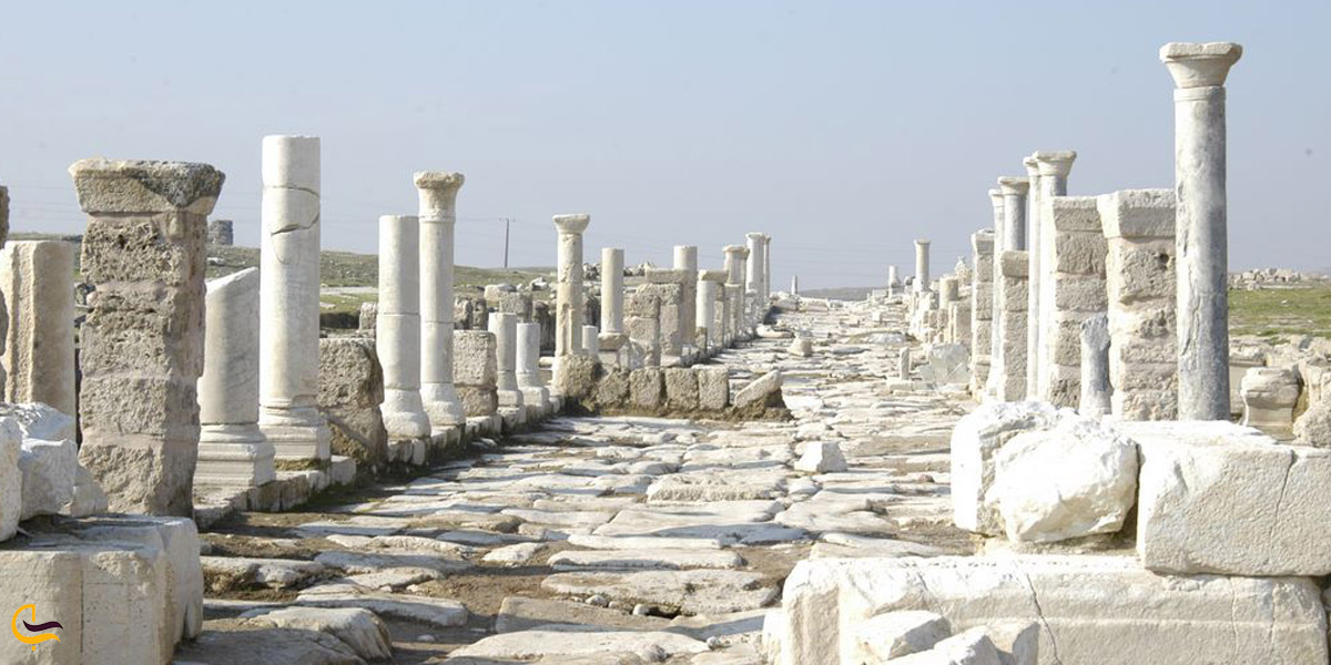 تصویری از لا اودیکیا