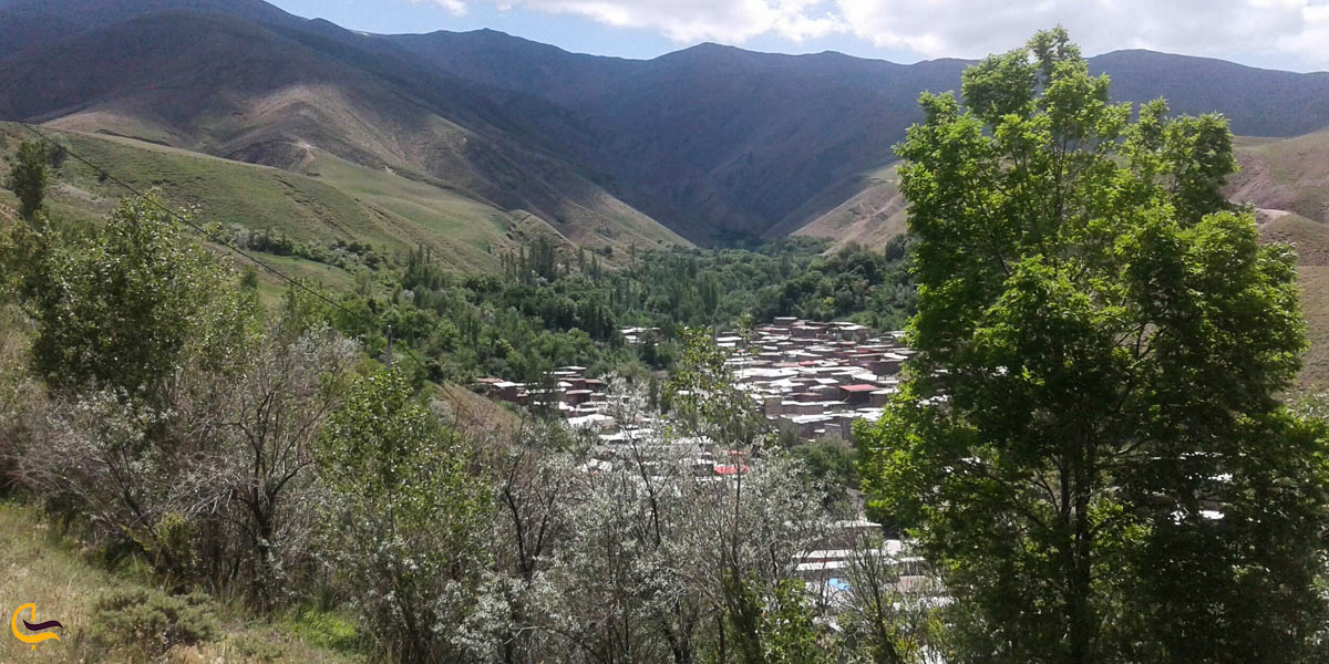 تصویری از طبیعت سرسبز مرند