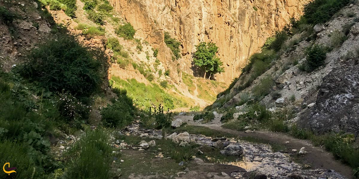 تصویری از رودخانه ای در طبیعت سرسبز سوادکوه