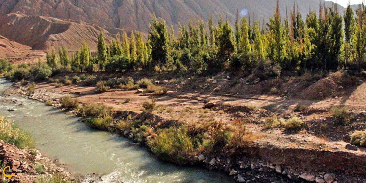 تصویری از طبیعت سرسبز گرمسار
