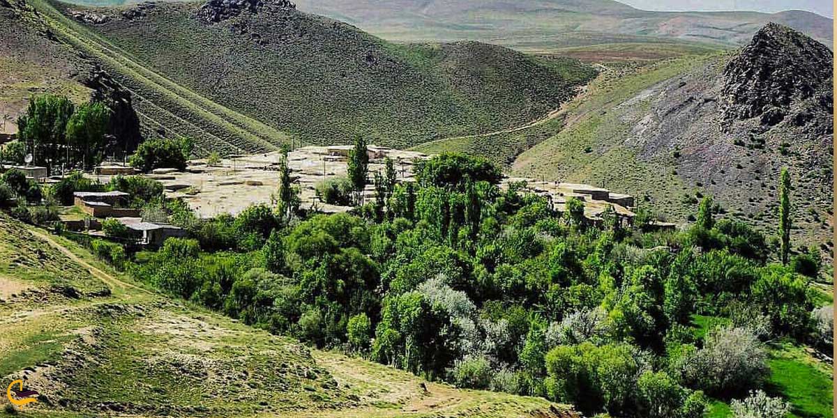تصویری از طبیعت سرسبز ساوه