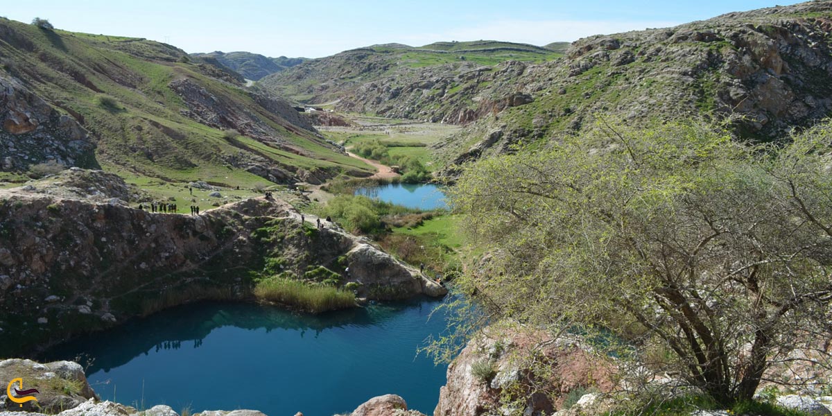 تصویری از طبیعت سرسبز سیاه گاو