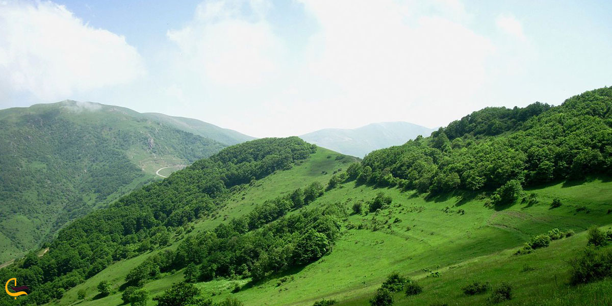 تصویری از طبیعت سرسبز اهر