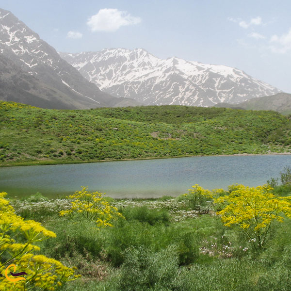 تصویری از طبیعت سرسبز دریاچه کوه گل
