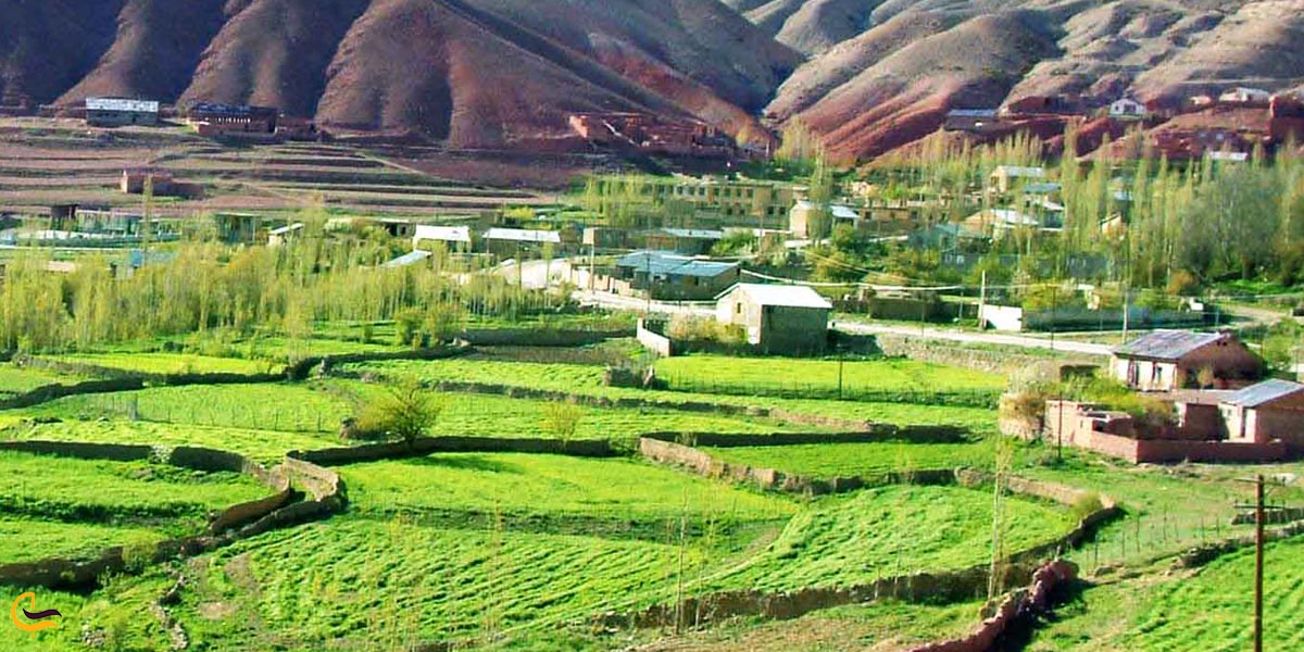 تصویری از طبیعت سرسبز شهمیرزاد سمنان