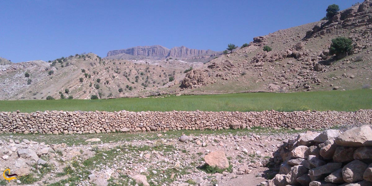 تصویری از طبیعت سرسبز دریاچه دوقولو سیاه گاو