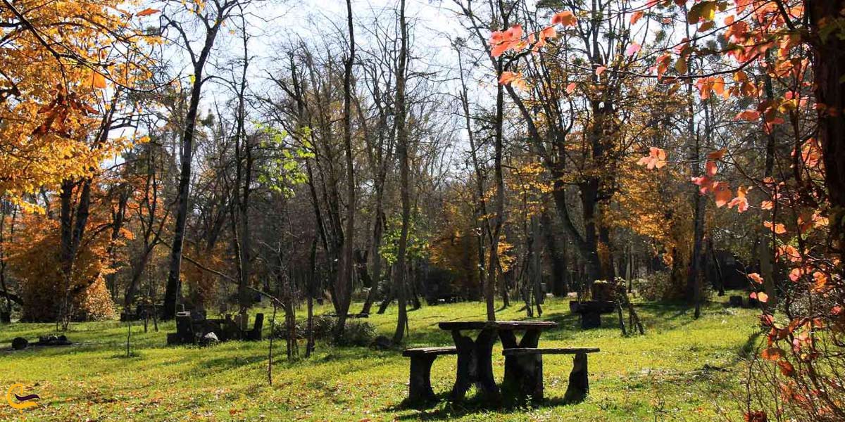 تصویری از پارک جنگلی سی سنگان